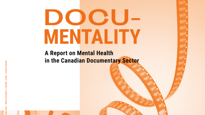 DocuMentality Report Cover